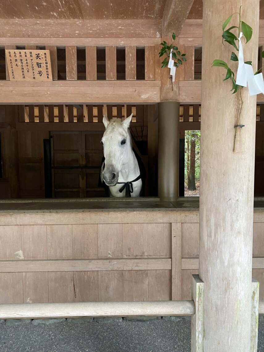 シニア教室始めました！