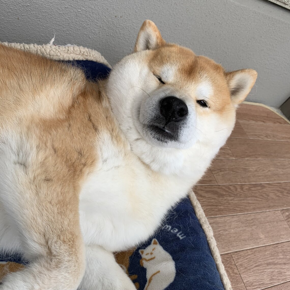 はじめまして☺