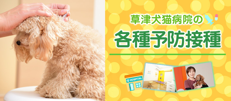 yobou-title_0611